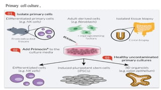 Primary cell culture ,
 