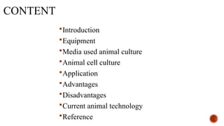 CONTENT
Introduction
Equipment
Media used animal culture
Animal cell culture
Application
Advantages
Disadvantages
Current animal technology
Reference
 