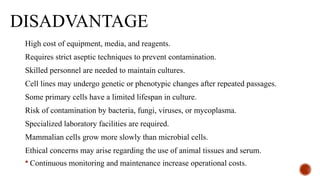 DISADVANTAGE
High cost of equipment, media, and reagents.
Requires strict aseptic techniques to prevent contamination.
Skilled personnel are needed to maintain cultures.
Cell lines may undergo genetic or phenotypic changes after repeated passages.
Some primary cells have a limited lifespan in culture.
Risk of contamination by bacteria, fungi, viruses, or mycoplasma.
Specialized laboratory facilities are required.
Mammalian cells grow more slowly than microbial cells.
Ethical concerns may arise regarding the use of animal tissues and serum.
 Continuous monitoring and maintenance increase operational costs.
 