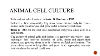 ANIMAL CELL CULTURE
Father of animal cell culture is Ross . G Harrison – 1907
Achieve - first successfully frog nerve tissue outside body (in vitro )
animal cells could survive and grow under laboratory conditions .
Roux in 1885 for the first time maintained embryonic chick cells in a
cell culture.
The culture of animal cells and tissues is a generally and widely used
technique that involves isolation of cells, tissues and organs from
animals and growing them in an in vitro or artificial environment. The
term culture means to keep alive and grow in an appropriate medium
that simulates the natural conditions.
 