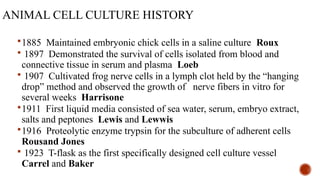 ANIMAL CELL CULTURE HISTORY
1885 Maintained embryonic chick cells in a saline culture Roux
 1897 Demonstrated the survival of cells isolated from blood and
connective tissue in serum and plasma Loeb
 1907 Cultivated frog nerve cells in a lymph clot held by the “hanging
drop” method and observed the growth of nerve fibers in vitro for
several weeks Harrisone
1911 First liquid media consisted of sea water, serum, embryo extract,
salts and peptones Lewis and Lewwis
1916 Proteolytic enzyme trypsin for the subculture of adherent cells
Rousand Jones
 1923 T-flask as the first specifically designed cell culture vessel
Carrel and Baker
 