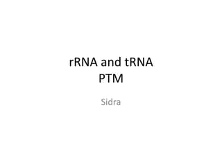 rRNA and tRNA 
PTM 
Sidra 
 