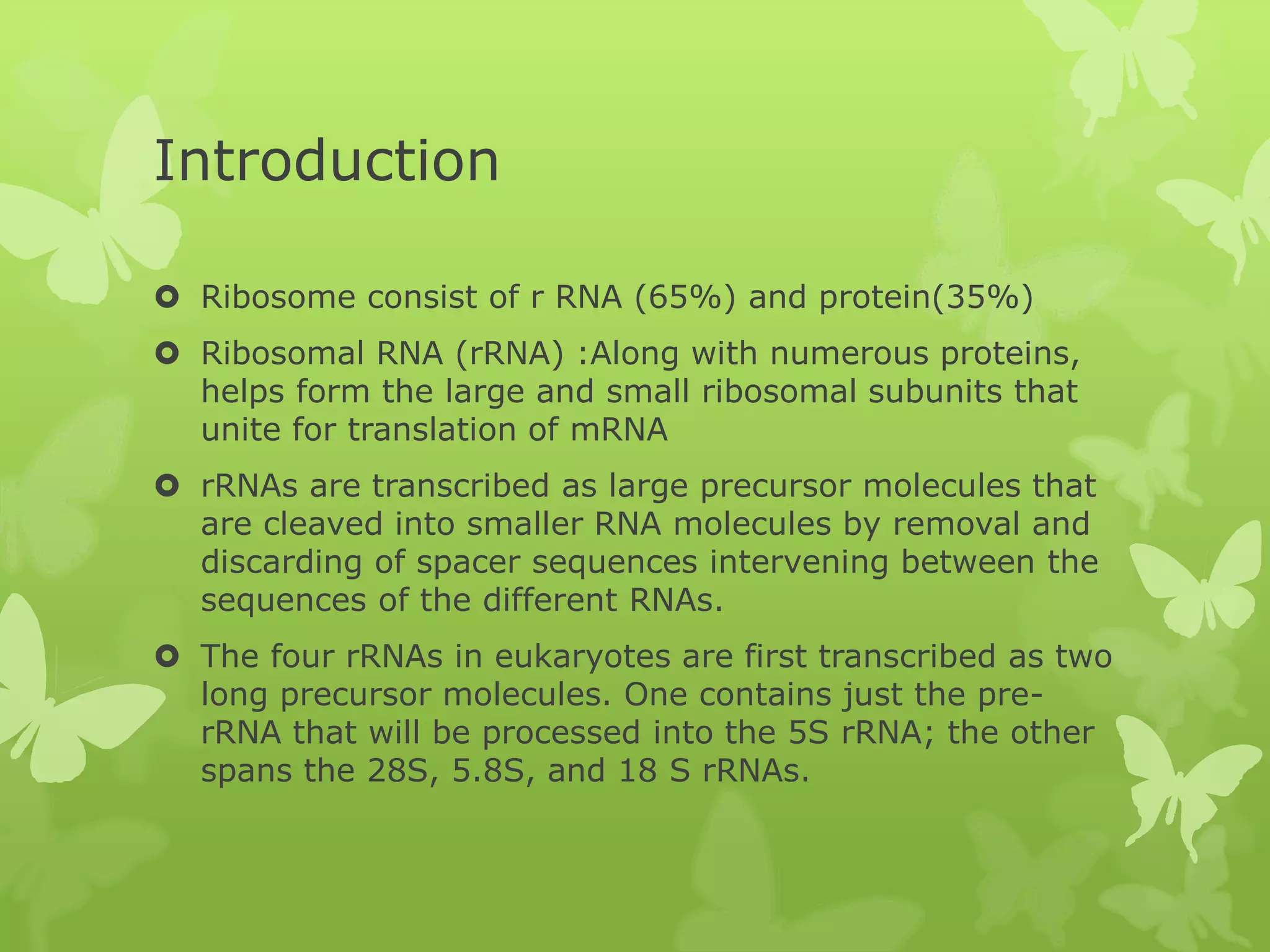 R rna processing | PPTX