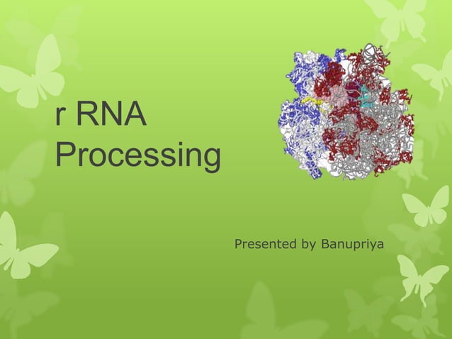 R rna processing | PPTX | Chemistry | Science