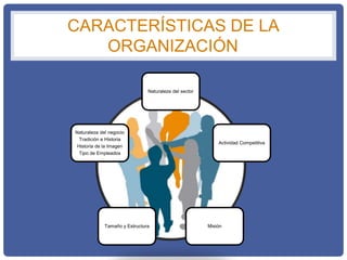 CARACTERÍSTICAS DE LA
ORGANIZACIÓN
Naturaleza del sector
Actividad Competitiva
MisiónTamaño y Estructura
Naturaleza del negocio
Tradición e Historia
Historia de la Imagen
Tipo de Empleados
 