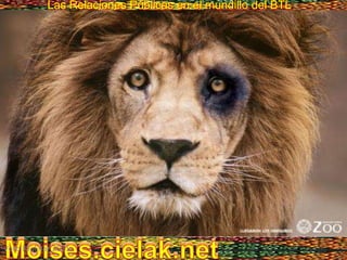 Las Relaciones Públicas en el mundillo del BTLLas Relaciones Públicas en el mundillo del BTL
Vero Molinar 2011
 