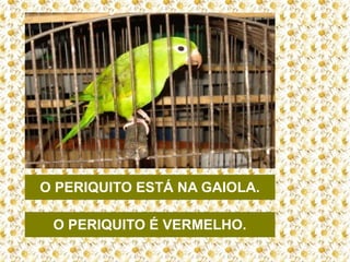 O PERIQUITO ESTÁ NA GAIOLA.
O PERIQUITO É VERMELHO.

 