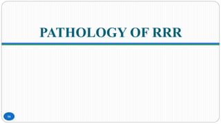 PATHOLOGY OF RRR
16
 