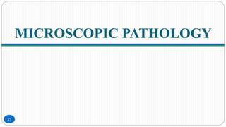 MICROSCOPIC PATHOLOGY
27
 