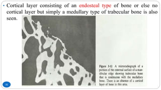 32
• Cortical layer consisting of an endosteal type of bone or else no
cortical layer but simply a medullary type of trabecular bone is also
seen.
 