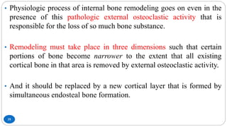 35
• Physiologic process of internal bone remodeling goes on even in the
presence of this pathologic external osteoclastic activity that is
responsible for the loss of so much bone substance.
• Remodeling must take place in three dimensions such that certain
portions of bone become narrower to the extent that all existing
cortical bone in that area is removed by external osteoclastic activity.
• And it should be replaced by a new cortical layer that is formed by
simultaneous endosteal bone formation.
 