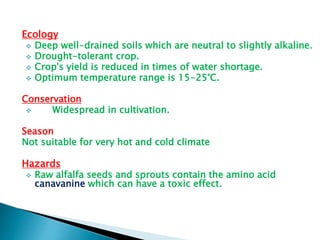 Ecology
 Deep well-drained soils which are neutral to slightly alkaline.
 Drought-tolerant crop.
 Crop's yield is reduced in times of water shortage.
 Optimum temperature range is 15-25°C.
Conservation
 Widespread in cultivation.
Season
Not suitable for very hot and cold climate
Hazards
 Raw alfalfa seeds and sprouts contain the amino acid
canavanine which can have a toxic effect.
 