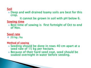 Soil
 Deep and well drained loamy soils are best for this
crop.
it cannot be grown in soil with pH below 6.
Sowing time
 Best time of sowing is first fortnight of Oct to end
of Nov.
Seed rate
 20 kg /ha
Method of sowing
 Seeding should be done in rows 40 cm apart at a
seed rate of 15 kg per hectare.
 Because of their hard seed coat, seed should be
soaked overnight in water before seeding.
 