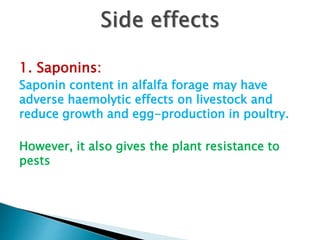 1. Saponins:
Saponin content in alfalfa forage may have
adverse haemolytic effects on livestock and
reduce growth and egg-production in poultry.
However, it also gives the plant resistance to
pests
 