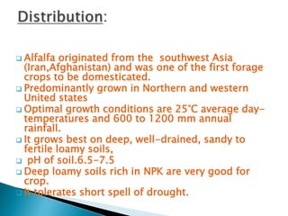  Alfalfa originated from the southwest Asia
(Iran,Afghanistan) and was one of the first forage
crops to be domesticated.
 Predominantly grown in Northern and western
United states
 Optimal growth conditions are 25°C average day-
temperatures and 600 to 1200 mm annual
rainfall.
 It grows best on deep, well-drained, sandy to
fertile loamy soils,
 pH of soil.6.5-7.5
 Deep loamy soils rich in NPK are very good for
crop.
 It tolerates short spell of drought.
 