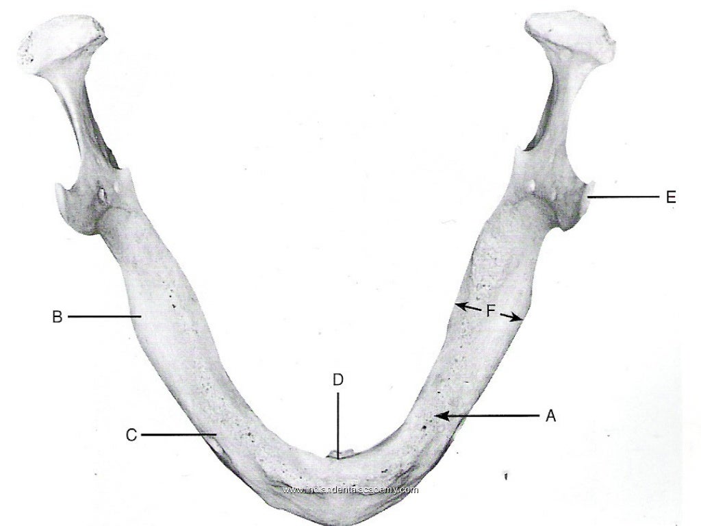 Residual ridge resorption /certified fixed orthodontic courses by Ind…