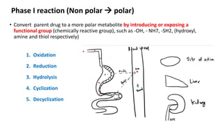Pharmacology Rapid Revision slides notes | PPTX