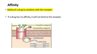Pharmacology Rapid Revision slides notes | PPTX