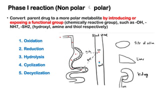 Rapid revision of clinical pharmacology part 1 | PPTX