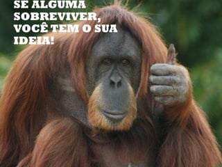 SE ALGUMA
SOBREVIVER,
VOCÊ TEM O SUA
IDEIA!
 