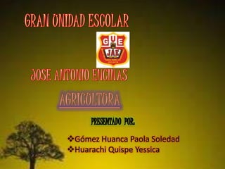 Gómez Huanca Paola Soledad 
Huarachi Quispe Yessica 
 