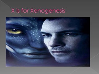 Rrs 280 final project