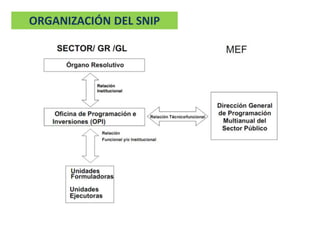 ORGANIZACIÓN DEL SNIP
 