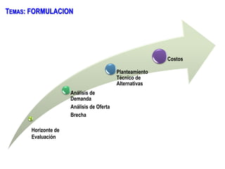 Análisis de
Demanda
Análisis de Oferta
Brecha
Planteamiento
Técnico de
Alternativas
Costos
TEMAS: FORMULACION
Horizonte de
Evaluación
 