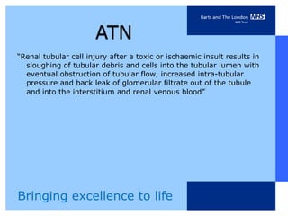 “Renal tubular cell injury after a toxic or ischaemic insult results in
  sloughing of tubular debris and cells into the tubular lumen with
  eventual obstruction of tubular flow, increased intra-tubular
  pressure and back leak of glomerular filtrate out of the tubule
                                                       1
  and into the interstitium and renal venous blood”




Bringing excellence to life
 