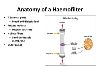 Anatomy of a Haemofilter
• 4 External ports
– blood and dialysis fluid
• Potting material
– support structure
• Hollow fibers
– Semi-permeable
membrane
• Outer casing
 