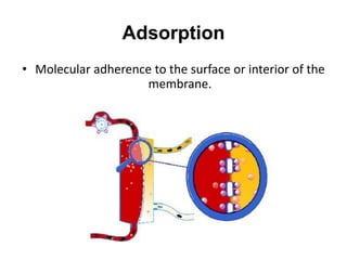 Adsorption
• Molecular adherence to the surface or interior of the
membrane.
 