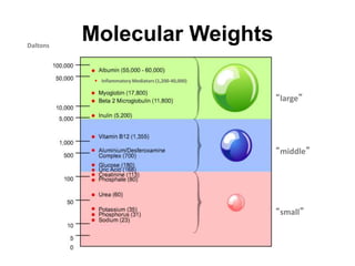 Molecular WeightsDaltons
 Inflammatory Mediators (1,200-40,000)
“small”
“middle”
“large”
 