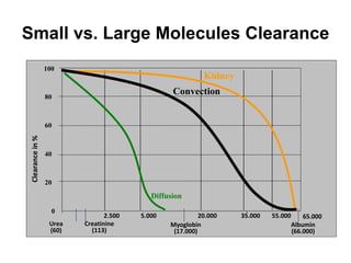 0
20
40
60
80
100
Clearancein%
35.000 55.00020.0005.0002.500
Urea
(60)
Albumin
(66.000)
Myoglobin
(17.000)
65.000
Creatinine
(113)
Kidney
Convection
Diffusion
Small vs. Large Molecules Clearance
 