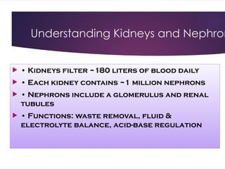 Understanding Kidneys and Nephron
 • Kidneys filter ~180 liters of blood daily
 • Each kidney contains ~1 million nephrons
 • Nephrons include a glomerulus and renal
tubules
 • Functions: waste removal, fluid &
electrolyte balance, acid-base regulation
 