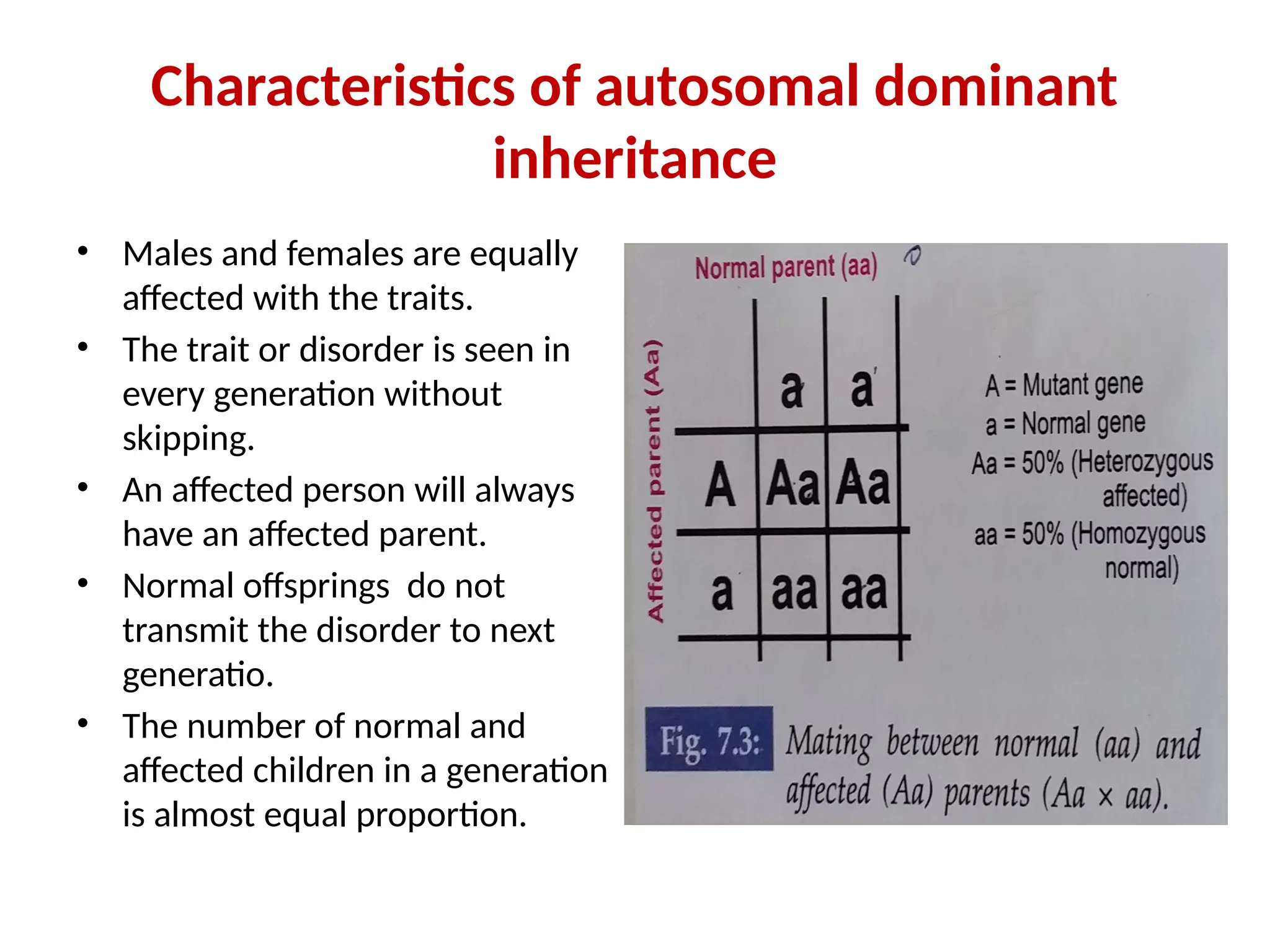Characteristics of autosomal dominant
inheritance
• Males and females are equally
affected with the traits.
• The trait or disorder is seen in
every generation without
skipping.
• An affected person will always
have an affected parent.
• Normal offsprings do not
transmit the disorder to next
generatio.
• The number of normal and
affected children in a generation
is almost equal proportion.
 