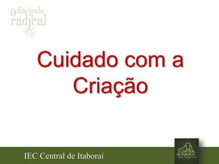 IEC Central de Itaboraí
Cuidado com a
Criação
 