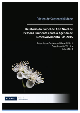 Relatório do Painel de Alto Nível de
Pessoas Eminentes para a Agenda de
Desenvolvimento Pós-2015
Resenha de Sustentabilidade Nº 011
Coordenação Técnica
Julho/2013
 