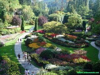 This is a PDF containing important stuffs