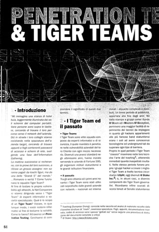 ICT Security Magazine: Penetration testing e tigerteam
