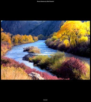 Rivers-Streams by Elite PhotoArt




            RS-0001
 