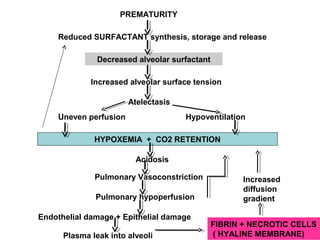 PREMATURITY
Reduced SURFACTANT synthesis, storage and release
Decreased alveolar surfactant
Increased alveolar surface tension
Atelectasis
Uneven perfusion Hypoventilation
HYPOXEMIA + CO2 RETENTION
Acidosis
Pulmonary Vasoconstriction
Pulmonary hypoperfusion
Endothelial damage + Epithelial damage
Plasma leak into alveoli
FIBRIN + NECROTIC CELLS
( HYALINE MEMBRANE)
Increased
diffusion
gradient
 