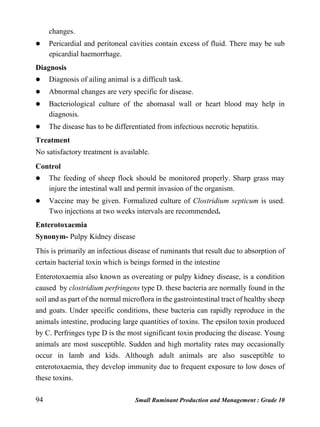 94 Small Ruminant Production and Management : Grade 10
changes.
 Pericardial and peritoneal cavities contain excess of fluid. There may be sub
epicardial haemorrhage.
Diagnosis
 Diagnosis of ailing animal is a difficult task.
 Abnormal changes are very specific for disease.
 Bacteriological culture of the abomasal wall or heart blood may help in
diagnosis.
 The disease has to be differentiated from infectious necrotic hepatitis.
Treatment
No satisfactory treatment is available.
Control
 The feeding of sheep flock should be monitored properly. Sharp grass may
injure the intestinal wall and permit invasion of the organism.
 Vaccine may be given. Formalized culture of Clostridium septicum is used.
Two injections at two weeks intervals are recommended.
Enterotoxaemia
Synonym- Pulpy Kidney disease
This is primarily an infectious disease of ruminants that result due to absorption of
certain bacterial toxin which is beings formed in the intestine
Enterotoxaemia also known as overeating or pulpy kidney disease, is a condition
caused by clostridium perfringens type D. these bacteria are normally found in the
soil and as part of the normal microflora in the gastrointestinal tract of healthy sheep
and goats. Under specific conditions, these bacteria can rapidly reproduce in the
animals intestine, producing large quantities of toxins. The epsilon toxin produced
by C. Perfringes type D is the most significant toxin producing the disease. Young
animals are most susceptible. Sudden and high mortality rates may occasionally
occur in lamb and kids. Although adult animals are also susceptible to
enterotoxaemia, they develop immunity due to frequent exposure to low doses of
these toxins.
 