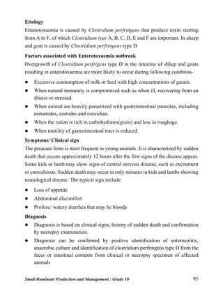 Small Ruminant Production and Management : Grade 10 95
Etiology
Enterotoxaemia is caused by Clostridium perfringens that produce toxin starting
from A to F, of which Clostridium type A, B, C, D, E and F are important. In sheep
and goat is caused by Clostridium perfringens type D
Factors associated with Enterotoxaemia outbreak
Overgrowth of Clostridium perfrigens type D in the intestine of shhep and goats
resulting in enterotoxaemia are more likely to occur during following condition-
 Excessive consumption of milk or feed with high concentrations of garain.
 When natural immunity is compromised such as when ill, recovering from an
illness or stressed.
 When animal are heavily parasitized with gastrointestinal parasites, including
nematodes, cestodes and coccidian.
 When the ration is rich in carbohydrates(grain) and low in roughage.
 When motility of gastrointestinal tract is reduced.
Symptoms/ Clinical sign
The preacute form is most frequent in young animals. It is characterized by sudden
death that occurs approximately 12 hours after the first signs of the disease appear.
Some kids or lamb may show signs of central nervous disease, such as excitement
or convulsions. Sudden death may occur in only minutes in kids and lambs showing
neurological disease. The typical sign include
 Loss of appetite
 Abdominal discomfort
 Profuse/ watery diarrhea that may be bloody
Diagnosis
 Diagnosis is based on clinical signs, history of sudden death and confirmation
by necropsy examination.
 Diagnosis can be confirmed by positive identification of enterocolitis,
anaerobic culture and identification of clostridium perfringens type D from the
feces or intestinal contents from clinical or necropsy specimen of affected
animals
 
