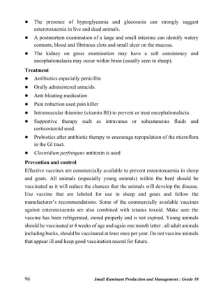 96 Small Ruminant Production and Management : Grade 10
 The presence of hyperglycemia and glucosuria can strongly suggest
enterotoxaemia in live and dead animals.
 A postmortem examination of a large and small intestine can identify watery
contents, blood and fibrinous clots and small ulcer on the mucosa.
 The kidney on gross examination may have a soft consistency and
encephalomalacia may occur within brain (usually seen in sheep).
Treatment
 Antibiotics especially penicillin
 Orally administered antacids.
 Anti-bloating medication
 Pain reduction used pain killer
 Intramuscular thiamine (vitamin B1) to prevent or treat encephalomalacia.
 Supportive therapy such as intravanus or subcutaneous fluids and
corticosteroid used.
 Probiotics after antibiotic therapy to encourage repopulation of the microflora
in the GI tract.
 Clostridium perfringens antitoxin is used
Prevention and control
Effective vaccines are commercially available to prevent enterotoxaemia in sheep
and goats. All animals (especially young animals) within the herd should be
vaccinated as it will reduce the chances that the animals will develop the disease.
Use vaccine that are labeled for use in sheep and goats and follow the
manufacturer’s recommendations. Some of the commercially available vaccines
against enterotoxaemia are also combined with tetanus toxoid. Make sure the
vaccine has been refrigerated, stored properly and is not expired. Young animals
should be vaccinated at 4 weeks of age and again one month latter . all adult animals
including bucks, should be vaccinated at least once per year. Do not vaccine animals
that appear ill and keep good vaccination record for future.
 