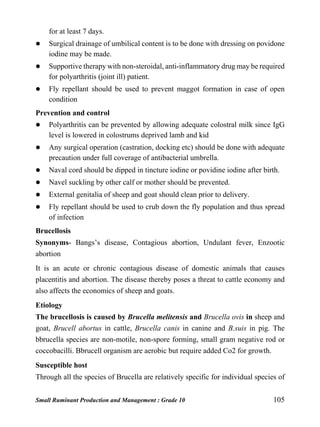 Small Ruminant Production and Management : Grade 10 105
for at least 7 days.
 Surgical drainage of umbilical content is to be done with dressing on povidone
iodine may be made.
 Supportive therapy with non-steroidal, anti-inflammatory drug may be required
for polyarthritis (joint ill) patient.
 Fly repellant should be used to prevent maggot formation in case of open
condition
Prevention and control
 Polyarthritis can be prevented by allowing adequate colostral milk since IgG
level is lowered in colostrums deprived lamb and kid
 Any surgical operation (castration, docking etc) should be done with adequate
precaution under full coverage of antibacterial umbrella.
 Naval cord should be dipped in tincture iodine or povidine iodine after birth.
 Navel suckling by other calf or mother should be prevented.
 External genitalia of sheep and goat should clean prior to delivery.
 Fly repellant should be used to crub down the fly population and thus spread
of infection
Brucellosis
Synonyms- Bangs’s disease, Contagious abortion, Undulant fever, Enzootic
abortion
It is an acute or chronic contagious disease of domestic animals that causes
placentitis and abortion. The disease thereby poses a threat to cattle economy and
also affects the economics of sheep and goats.
Etiology
The brucellosis is caused by Brucella melitensis and Brucella ovis in sheep and
goat, Brucell abortus in cattle, Brucella canis in canine and B.suis in pig. The
bbrucella species are non-motile, non-spore forming, small gram negative rod or
coccobacilli. Bbrucell organism are aerobic but require added Co2 for growth.
Susceptible host
Through all the species of Brucella are relatively specific for individual species of
 
