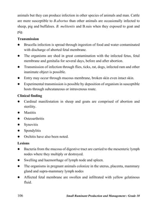106 Small Ruminant Production and Management : Grade 10
animals but they can produce infection in other species of animals and man. Cattle
are more susceptible to B.abortus than other animals are occasionally infected to
sheep, pig and buffaloes. B. melitentis and B.suis when they exposed to goat and
pig.
Transmission
 Brucella infection is spread through ingestion of food and water contaminated
with discharge of aborted fetal membrane.
 The organisms are shed in great contamination with the infected fetus, fetal
membrane and genitalia for several days, before and after abortion.
 Transmission of infection through flies, ticks, rat, dogs, infected ram and other
inanimate object is possible.
 Entry may occur through mucous membrane, broken skin even intact skin.
 Experimental transmission is possible by deposition of organism in susceptible
hosts through subcutaneous or intravenous route.
Clinical finding
 Cardinal manifestation in sheep and goats are comprised of abortion and
sterility.
 Mastitis
 Osteoarthritis
 Synovitis
 Spondylitis
 Orchitis have also been noted.
Lesions
 Bacteria from the mucosa of digestive tract are carried to the mesenteric lymph
nodes where they multiply or destroyed.
 Swelling and haemorrhage of lymph node and spleen.
 The organisms in pregnant animals colonize in the uterus, placenta, mammary
gland and supra-mammary lymph nodes
 Affected fetal membrane are swollen and infiltrated with yellow gelatinous
fluid.
 