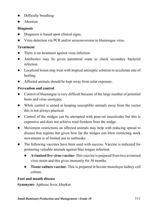 Small Ruminant Production and Management : Grade 10 111
 Difficulty breathing
 Abortion
Diagnosis
 Diagnosis is based upon clinical signs,
 Virus detection via PCR and/or seroconversion to bluetongue virus.
Treatment
 There is no treatment against virus infection
 Antibiotics may be given parenteral route to check secondary bacterial
infection.
 Localized lesion may treat with tropical antiseptic solution to accelerate rate of
healing.
 Affected animals should be kept away from solar exposure.
Prevention and control
 Control of bluetongue is very difficult because of the large number of potential
hosts and virus serotypes.
 While control is aimed at keeping susceptible animals away from the vector
this is not always practical.
 Control of the midges can be attempted with pour-on insecticides but this is
expensive and does not achieve total freedom from the midge.
 Movement restrictions on affected animals may help with reducing spread to
disease free regions but given how far the midges can blow restricting stock
movements is of limited use in outbreaks.
 The following vaccines have been used with success. Vaccine is indicated for
protecting valuable animals against blue tongue infection.
 Avianised live virus vaccine- This vaccine is prepared from two avianised
virus strain and this gives immunity for 30 months.
 Tissue culture vaccine- This is prepared in bovine monolayer kidney cell
culture.
Foot and mouth disease
Synonyms- Apthous fever, khurkut
 