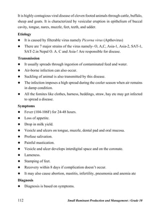 112 Small Ruminant Production and Management : Grade 10
It is highly contagious viral disease of cloven footed animals through cattle, buffalo,
sheep and goats. It is characterized by vesicular eruption in epithelium of buccal
cavity, tongue, nares, muzzle, feet, teeth, and udder.
Etiology
 It is caused by filterable virus namely Picorna virus (Apthovirus)
 There are 7 major strains of the virus namely- O, A,C, Asia-1, Asia-2, SAT-1,
SAT-2.in Nepal O. A. C and Asia-! Are responsible for disease.
Transmission
 It usually spreads through ingestion of contaminated feed and water.
 Air-borne infection can also occur.
 Suckling of animal is also transmitted by this disease.
 The infection imposes a high spread during the cooler season when air remains
in damp condition.
 All the fomites like clothes, harness, beddings, straw, hay etc may get infected
to spread a disease.
Symptoms
 Fever (104-106F) for 24-48 hours.
 Loss of appetite.
 Drop in milk yield.
 Vesicle and ulcers on tongue, muzzle, dental pad and oral mucosa.
 Profuse salivation.
 Painful mastication.
 Vesicle and ulcer develops interdigital space and on the coronate.
 Lameness.
 Stamping of feet.
 Recovery within 8 days if complication doesn’t occur.
 It may also cause abortion, mastitis, infertility, pneumonia and anemia ate
Diagnosis
 Diagnosis is based on symptoms.
 