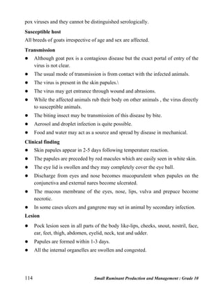 114 Small Ruminant Production and Management : Grade 10
pox viruses and they cannot be distinguished serologically.
Susceptible host
All breeds of goats irrespective of age and sex are affected.
Transmission
 Although goat pox is a contagious disease but the exact portal of entry of the
virus is not clear.
 The usual mode of transmission is from contact with the infected animals.
 The virus is present in the skin papules.
 The virus may get entrance through wound and abrasions.
 While the affected animals rub their body on other animals , the virus directly
to susceptible animals.
 The biting insect may be transmission of this disease by bite.
 Aerosol and droplet infection is quite possible.
 Food and water may act as a source and spread by disease in mechanical.
Clinical finding
 Skin papules appear in 2-5 days following temperature reaction.
 The papules are preceded by red macules which are easily seen in white skin.
 The eye lid is swollen and they may completely cover the eye ball.
 Discharge from eyes and nose becomes mucopurulent when papules on the
conjunctiva and external nares become ulcerated.
 The mucous membrane of the eyes, nose, lips, vulva and prepuce become
necrotic.
 In some cases ulcers and gangrene may set in animal by secondary infection.
Lesion
 Pock lesion seen in all parts of the body like-lips, cheeks, snout, nostril, face,
ear, feet, thigh, abdomen, eyelid, neck, teat and udder.
 Papules are formed within 1-3 days.
 All the internal organelles are swollen and congested.
 