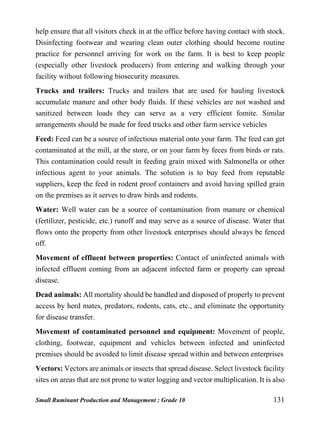 Small Ruminant Production and Management : Grade 10 131
help ensure that all visitors check in at the office before having contact with stock.
Disinfecting footwear and wearing clean outer clothing should become routine
practice for personnel arriving for work on the farm. It is best to keep people
(especially other livestock producers) from entering and walking through your
facility without following biosecurity measures.
Trucks and trailers: Trucks and trailers that are used for hauling livestock
accumulate manure and other body fluids. If these vehicles are not washed and
sanitized between loads they can serve as a very efficient fomite. Similar
arrangements should be made for feed trucks and other farm service vehicles
Feed: Feed can be a source of infectious material onto your farm. The feed can get
contaminated at the mill, at the store, or on your farm by feces from birds or rats.
This contamination could result in feeding grain mixed with Salmonella or other
infectious agent to your animals. The solution is to buy feed from reputable
suppliers, keep the feed in rodent proof containers and avoid having spilled grain
on the premises as it serves to draw birds and rodents.
Water: Well water can be a source of contamination from manure or chemical
(fertilizer, pesticide, etc.) runoff and may serve as a source of disease. Water that
flows onto the property from other livestock enterprises should always be fenced
off.
Movement of effluent between properties: Contact of uninfected animals with
infected effluent coming from an adjacent infected farm or property can spread
disease.
Dead animals: All mortality should be handled and disposed of properly to prevent
access by herd mates, predators, rodents, cats, etc., and eliminate the opportunity
for disease transfer.
Movement of contaminated personnel and equipment: Movement of people,
clothing, footwear, equipment and vehicles between infected and uninfected
premises should be avoided to limit disease spread within and between enterprises
Vectors: Vectors are animals or insects that spread disease. Select livestock facility
sites on areas that are not prone to water logging and vector multiplication. It is also
 